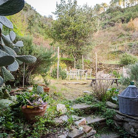 Il Limoneto Dei Cinque Sensi,Apartment With Garden Vernazza Exterior photo